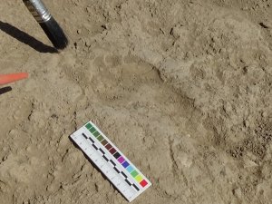 2700 yıllık Urartulu kadının ayak izine rastlandı