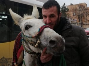 Yük taşıdığı eşekten özür diledi!
