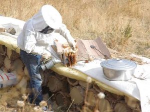 Bin derde deva Otluca balı piyasaya çıktı…