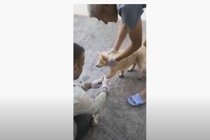 Karayolları 114. Şube Şefliği ekiplerinden insanlık dersi