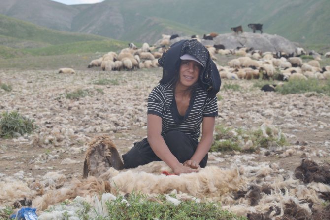 22 yaşındaki Zeynep çobanlık yapıyor