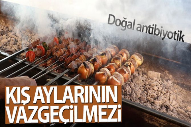 Kış aylarının vazgeçilmezi soğan kebabı