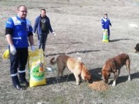 Hakkari’de can dostları kendi elleriyle beslediler