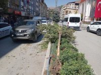 Lastiği patlayan araç ağaca çarptı