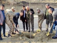 Esendere Belediyesi 500 fidan dikti