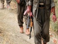 PKK Harona'da kimlik kontrolü yaptı