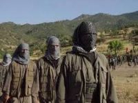HPG'den ağaç kesimi yapanlara uyarı