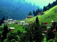 Karadeniz başbakanı dinlemedi