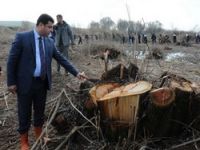 Demirtaş" Bu bir Gezi direnişidir"