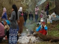 Çözüm Süreci Umutları Yeşertti