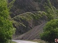 Yola bükülen ağaç tehlike saçıyor