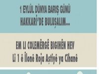 Hakkari'deki dev konserin programı