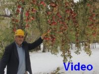 Kar yağışı 500 bin TL'ye mal oldu