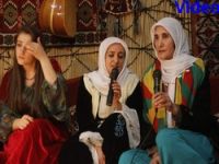Hakkari'de kültür şöleni