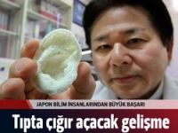 İnsan organları 3D yazıcıyla üretilebilecek