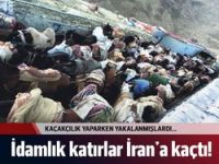 İdamlık katırlar İran'a kaçtı