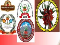 Hakkari’deki dernekler Özgecan için tek yürek oldu