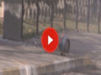 Şırnak'da bombalı tuzakta 1 polis yaralandı