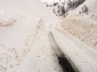 Çığ düştü: 5 ölü, 2 kayıp