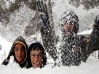 Yüksekova'da okullar tatil edildi!