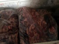 Aydın’da 5 ton kaçak domuz eti ele geçirildi