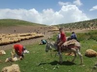 Yayla sakinleri bayrama 3 bin rakımda girdi