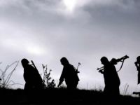 Yakalanan üst düzey PKK'lı yöneticisi açıklandı!