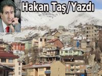 Hakkari düğünlerine müftülük ayarı!