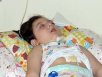 Bir kabak çekirdeğiyle hayatları karardı!