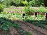Bu köyde yaşayanlar hasta olmuyor!