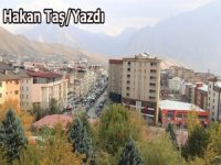 DÜĞÜN VE TAZİYELERİMİZ !