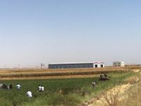 Askeri aracın geçişinde patlama!