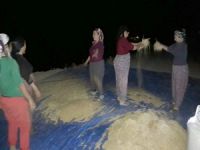 Sınır’da buğday temizleme telaşı başladı!