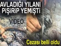 Yılan yiyen devlet memuruna bin 500 TL para cezası