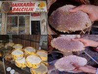 Hakkarim balcılık balcı Aydın!