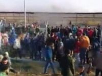 Protestolarda 4 kişi öldü, 367 kişi yaralandı