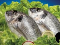 Balık depresyondan koruyor