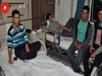 116 Öğrenci hastanelik oldu