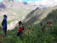 Hakkari’de 3.Geleneksel Ters Lale buluşması