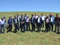 Yüksekova organize sanayiye kavuşuyor