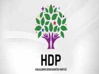 HDP'den çifte standart karşı basın açıklaması!