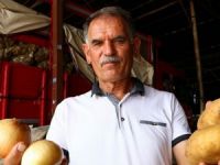 Patates ve soğandaki ateş sönüyor