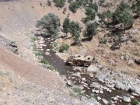 Trafik kazası: 1 ölü, 12 yaralı
