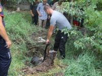 Şoke eden görüntü! Bu halde bulundu