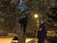 Belediye başkanı korumalarından örnek davranış