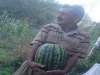Buda Hakkari Uyanık karpuzu