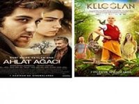 Hakkari 1. Ulusal Film Festivali devam ediyor(6)