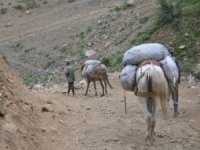 Sigara ve diş dolgu malzemesi ele geçirildi