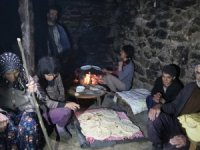 500 rakımında yaşam mücadelesi