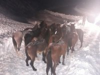 Hakkari’de 20 saat süren kurtarma operasyonu